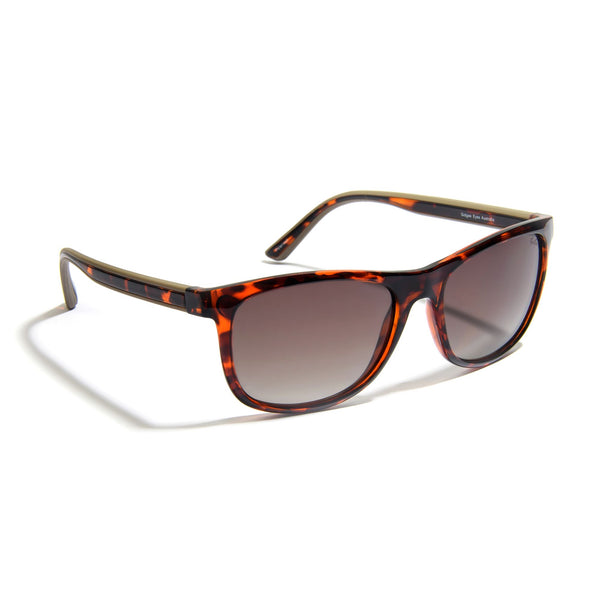 Gidgee Sunglasses - Fender Amber Tort