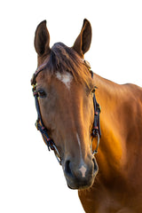 Braided Browband Bridle - Leather