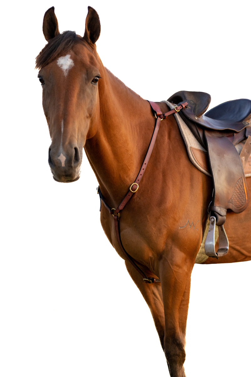 Stockman’s Breastplate - Leather