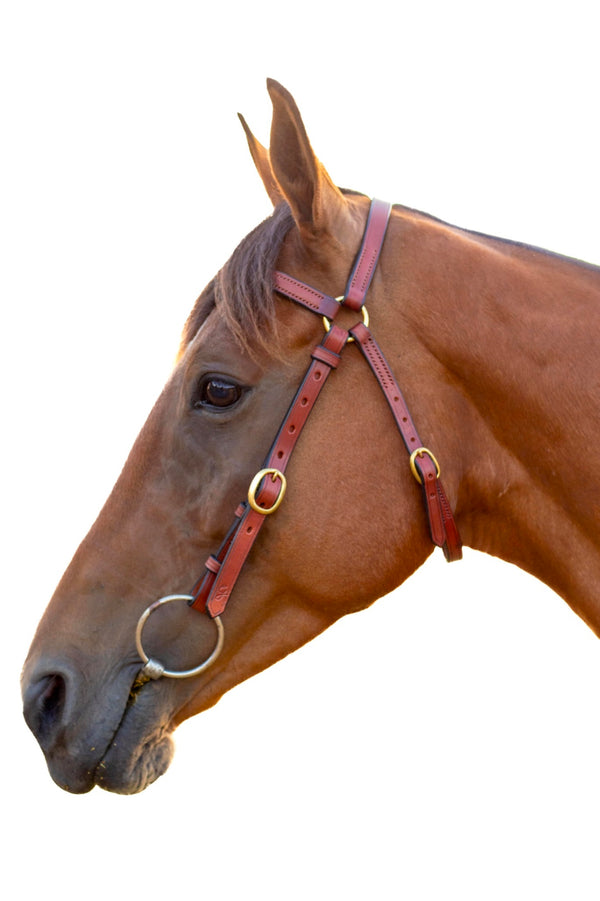 Barcoo Bridle -Leather
